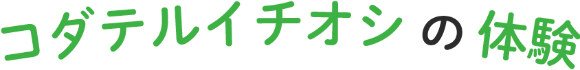 コダテルイチオシの体験