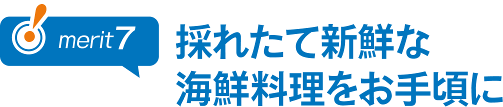 採れたて新鮮な海鮮料理をお手頃に